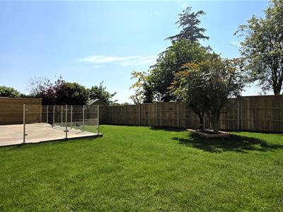 Picture 18